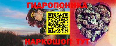 эйфоретик Усть-Джегута