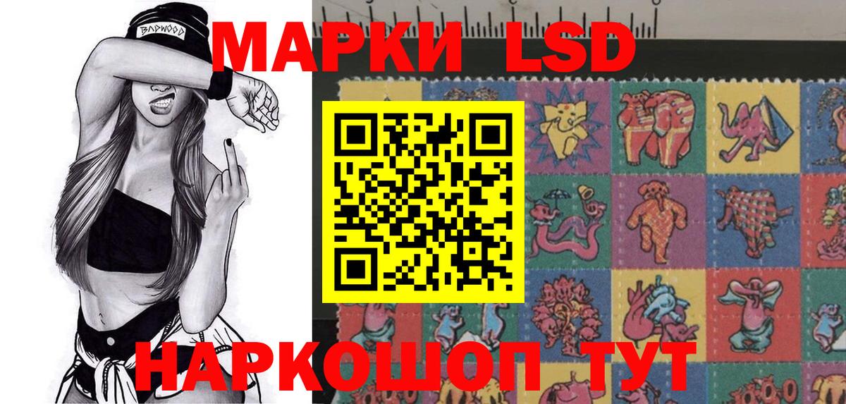 Нововоронеж  Наркотические марки 1500мкг  Вход с VPN  Наркотические марки  Наркотические марки 1500мкг 
