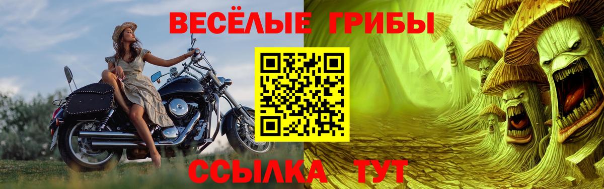 Псилоцибиновые грибы мицелий  Вход с VPN  цена   Нововоронеж 